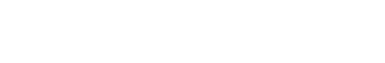 ZENY Smart Technology